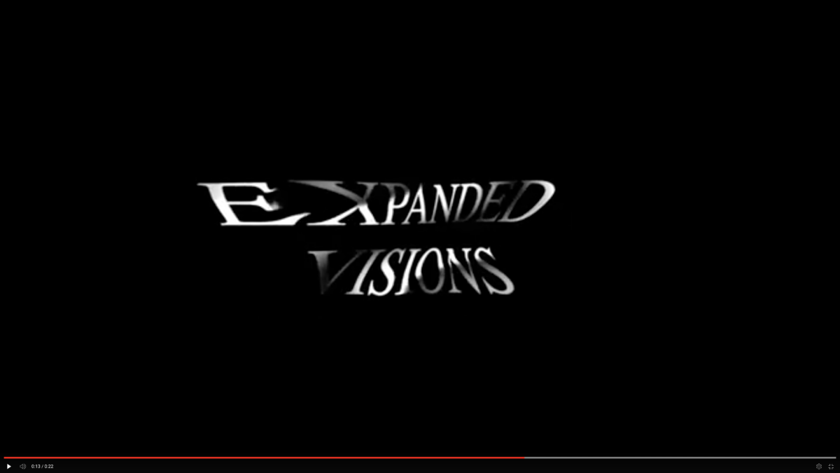 Expanded Visions