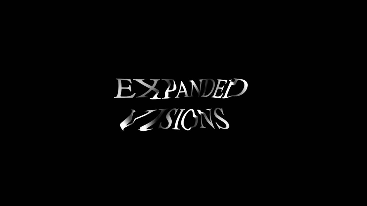 Expanded Visions
