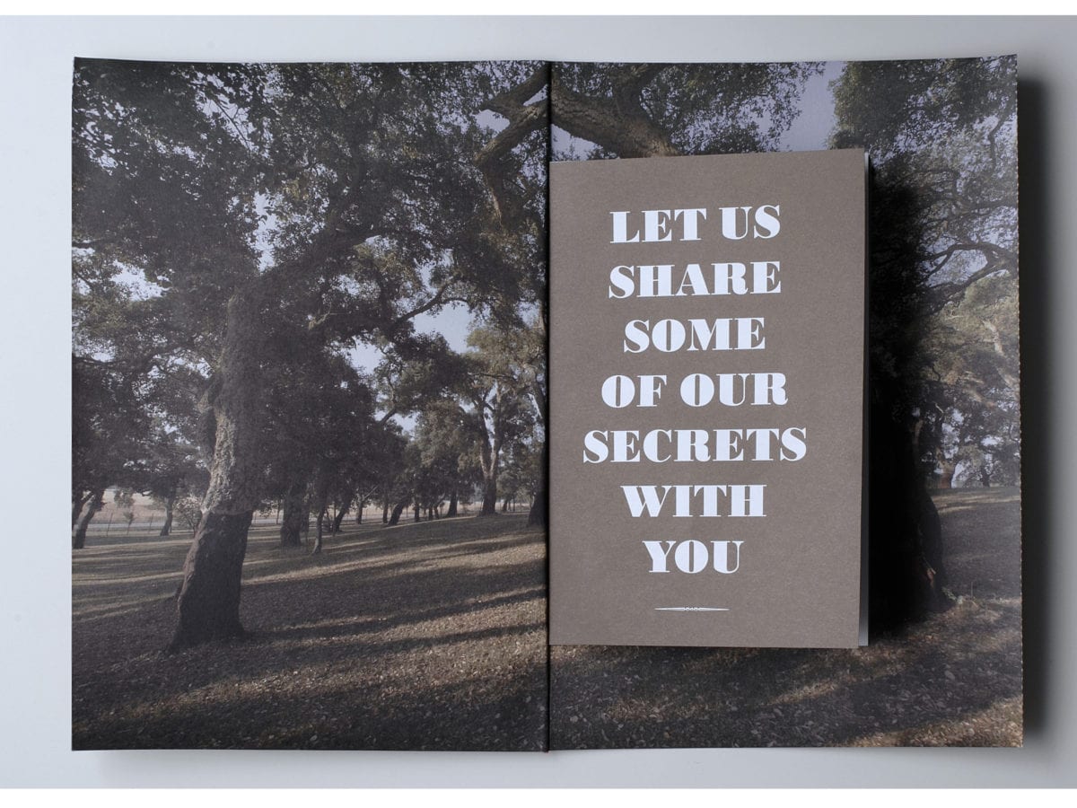 Catalog for a Cork Industry