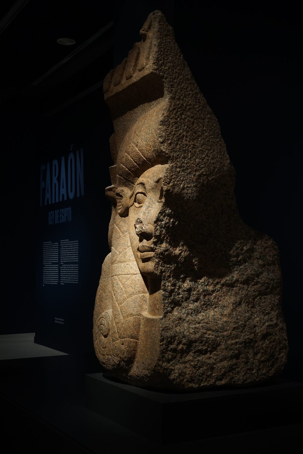 Pharaoh: King of Egypt