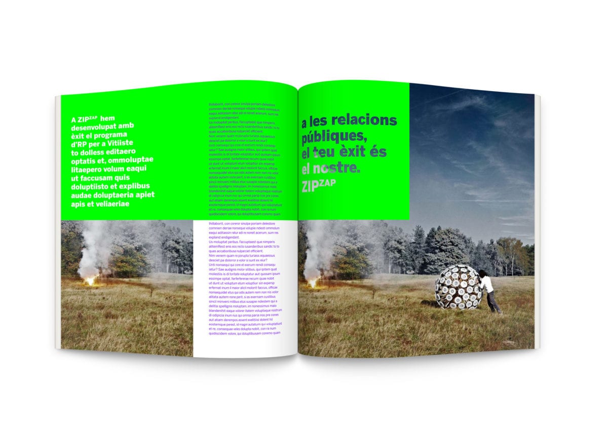 ZipZap Social Identity